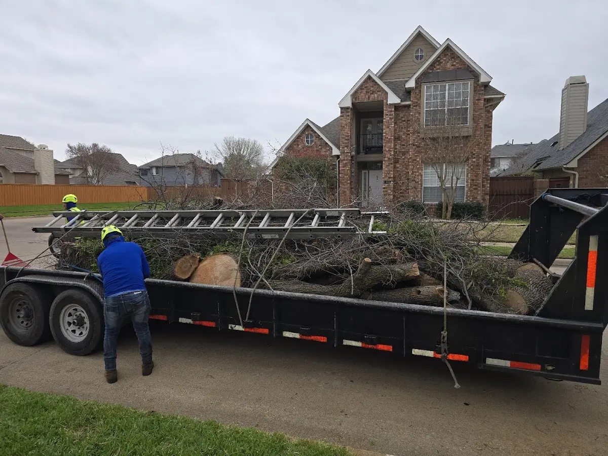 Expert Lot Clearing with proper safety equipment in Vilas